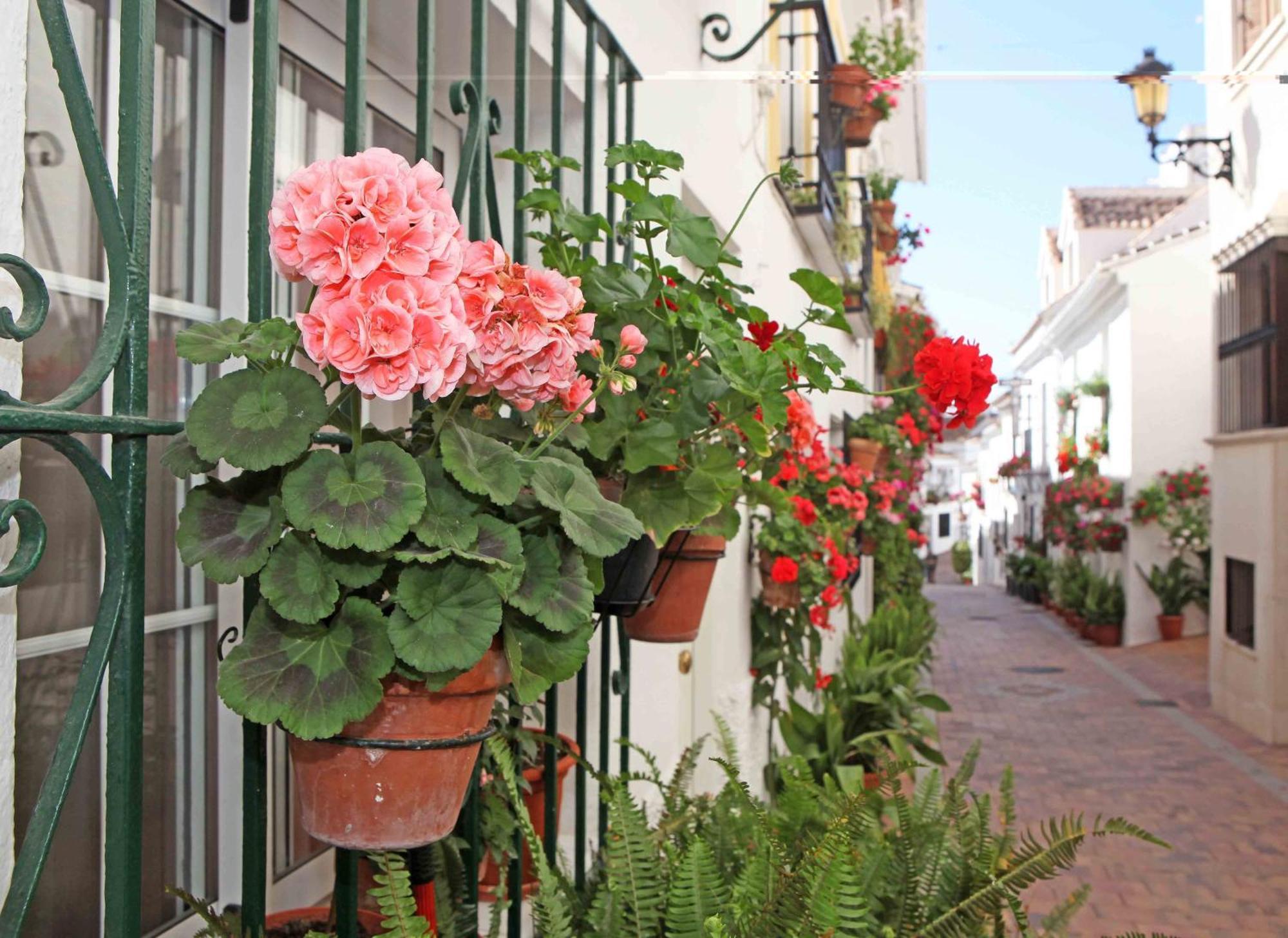 I Am La Posada Hotel And Apartment Benalmadena Bagian luar foto